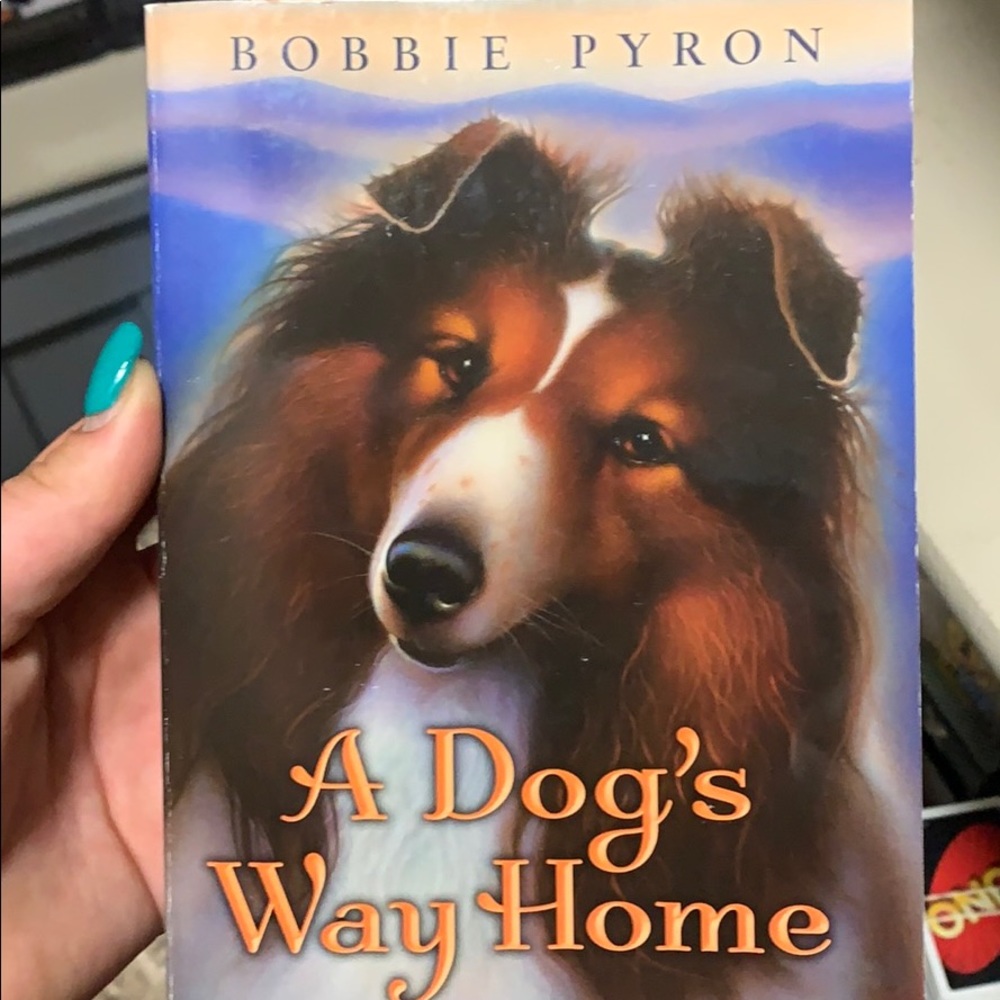 A dogs way home